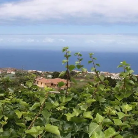 Lägenhet Finca De La Msica - Flamenco Icod De Los Vinos
